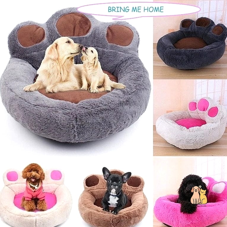 How to Choose the Right Attached Dog Bed