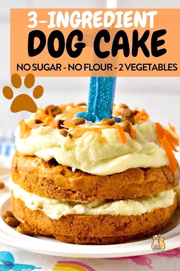 20 Easy Dog Cake Recipes Your Pup Will Go Crazy For 23 How to Make Dog Cakes Safer and More Enjoyable