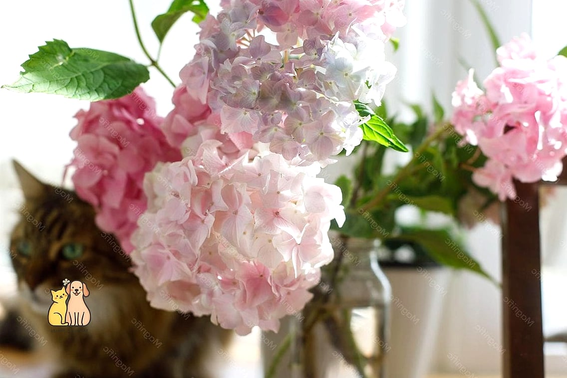 The Hydrangea Cloud Cat Tree
