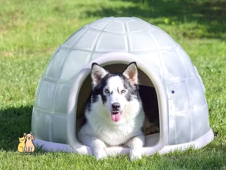20 Stunning Dog Houses For Multiple Dogs Guaranteed to Make You Smile 13 The Igloo-Inspired Dome House