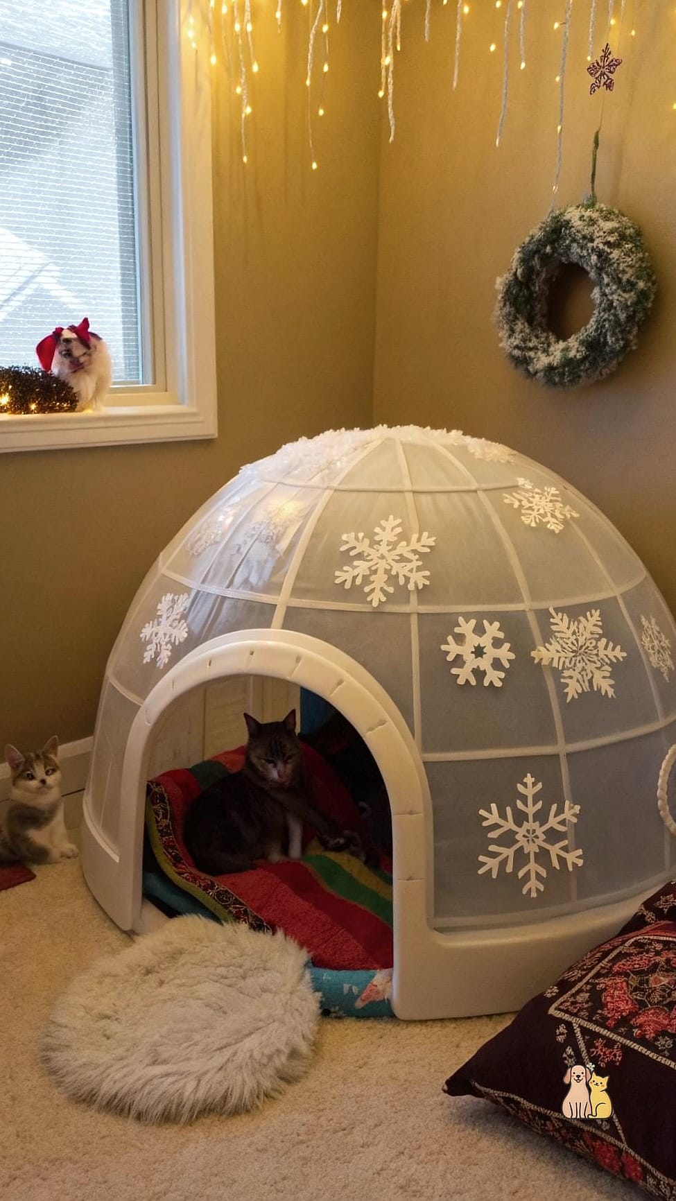 Igloo-Shaped Foam House