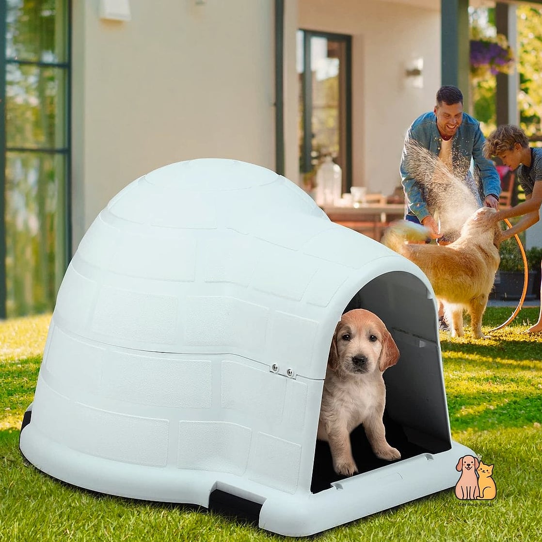 The Igloo-Style Insulated House
