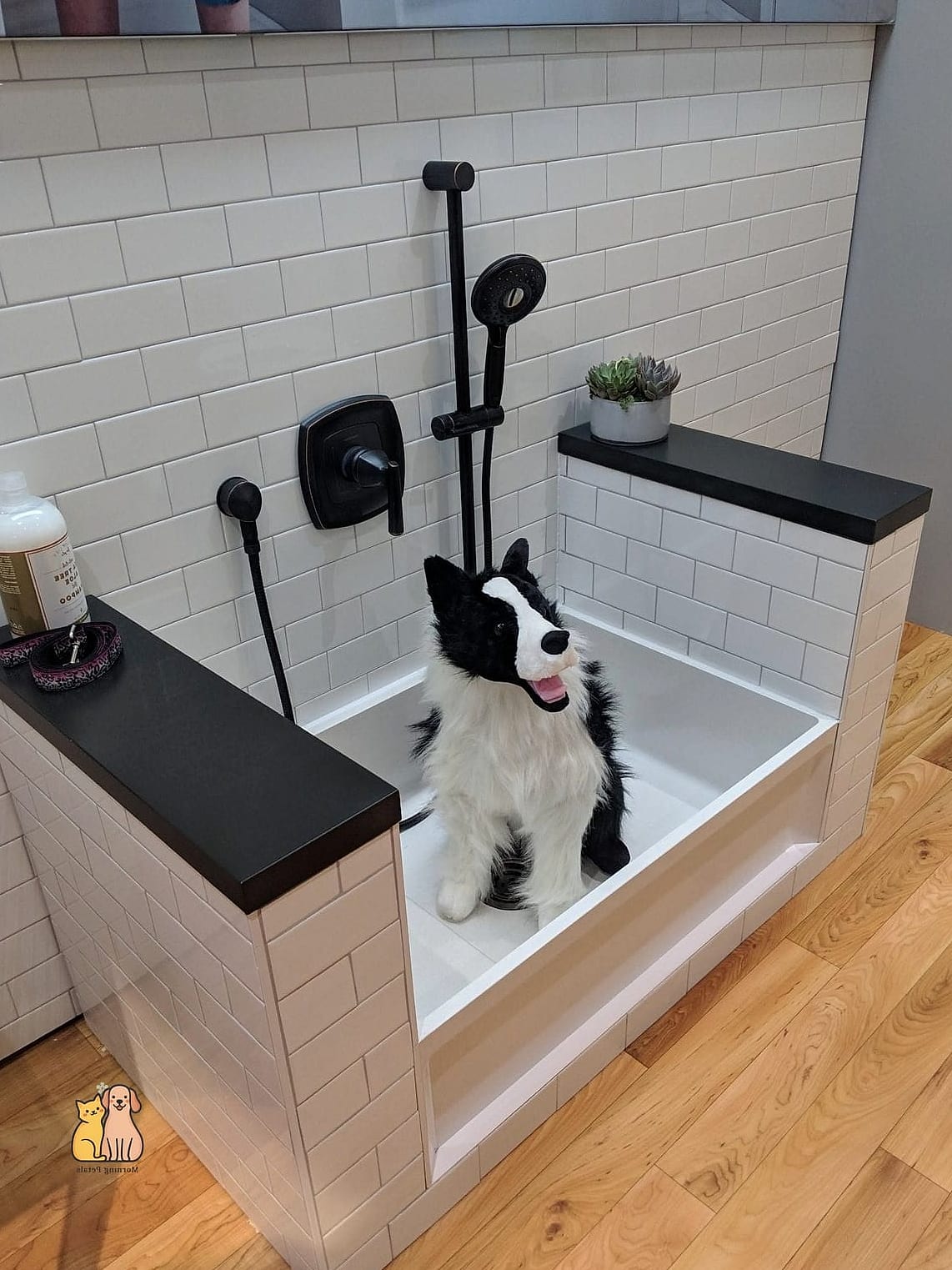 The Indoor Shower Corner Dog Station