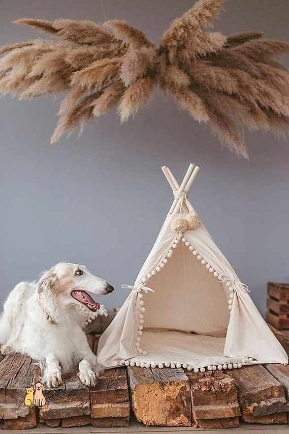 20 Stunning Aesthetic Dog Bed Guaranteed to Make You Smile 16 The Indoor Teepee Dog Bed