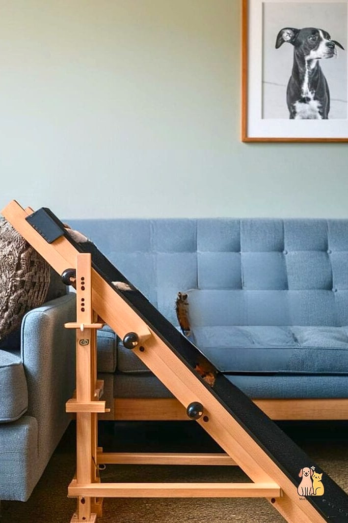 The Industrial Pipe and Wood Ramp