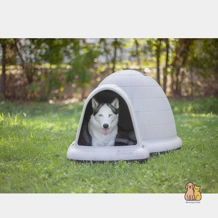 The Insulated Igloo with Straw Bedding