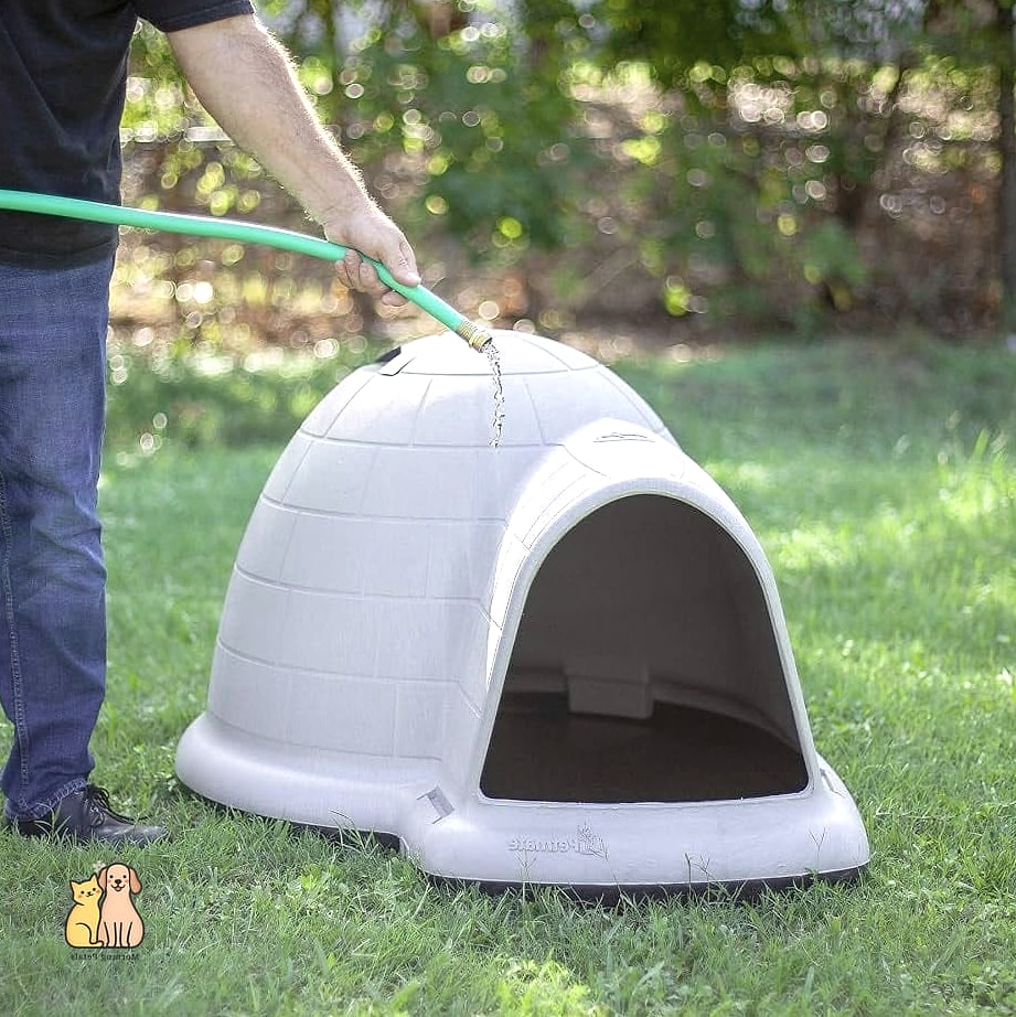 23 Incredible Best Dog Houses That Will Make Your Day 5 The Insulated Igloo-Style Dome
