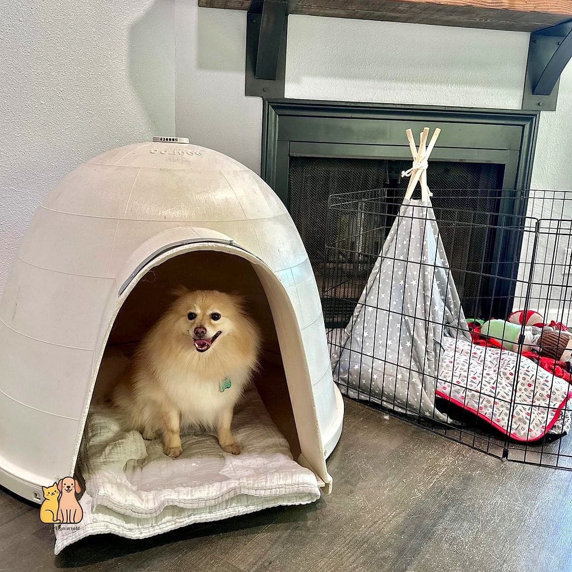 The Insulated Igloo Dome