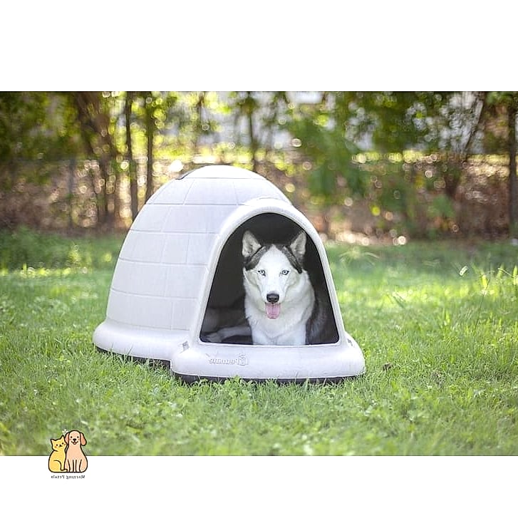 The Insulated Igloo-Style Kennel