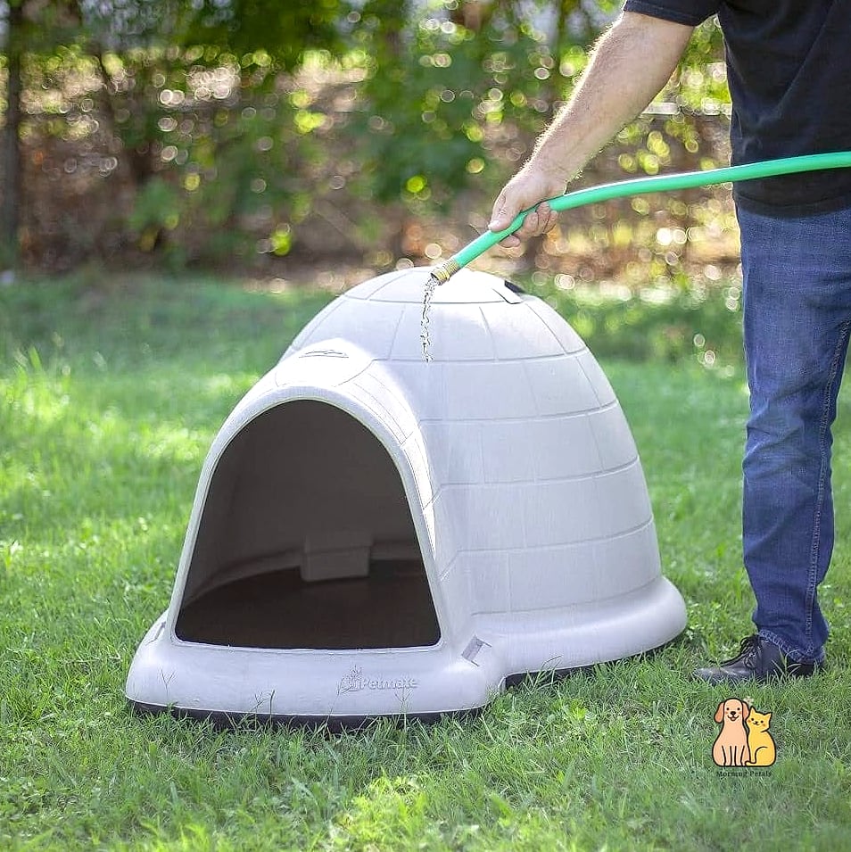25 Amazing Dog Houses For Large Dogs That Are Too Cute to Handle 8 The Insulated Igloo Dome