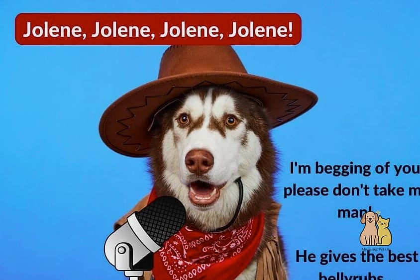 19 Country Western Dog Names That Are Totally Unique and Adorable 5 Jolene