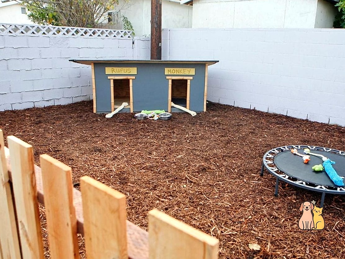 The Kennel With a Dedicated Digging Pit