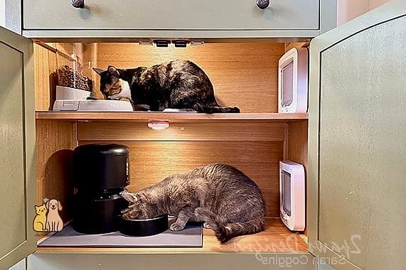 The Kitchen Cabinet Cat Perch