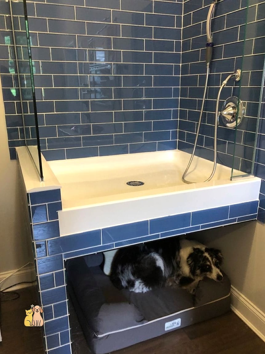 The Kitchen Sink Puppy Station