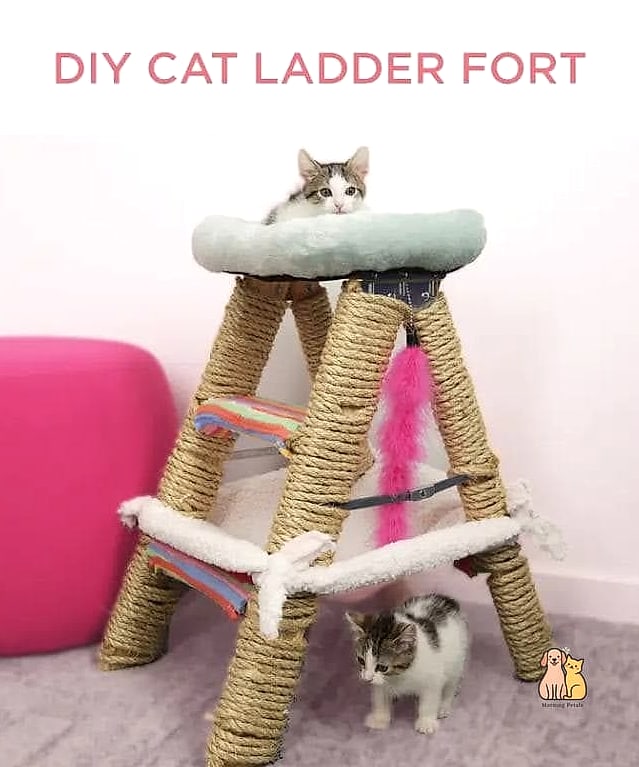 Ladder Frame Hammock