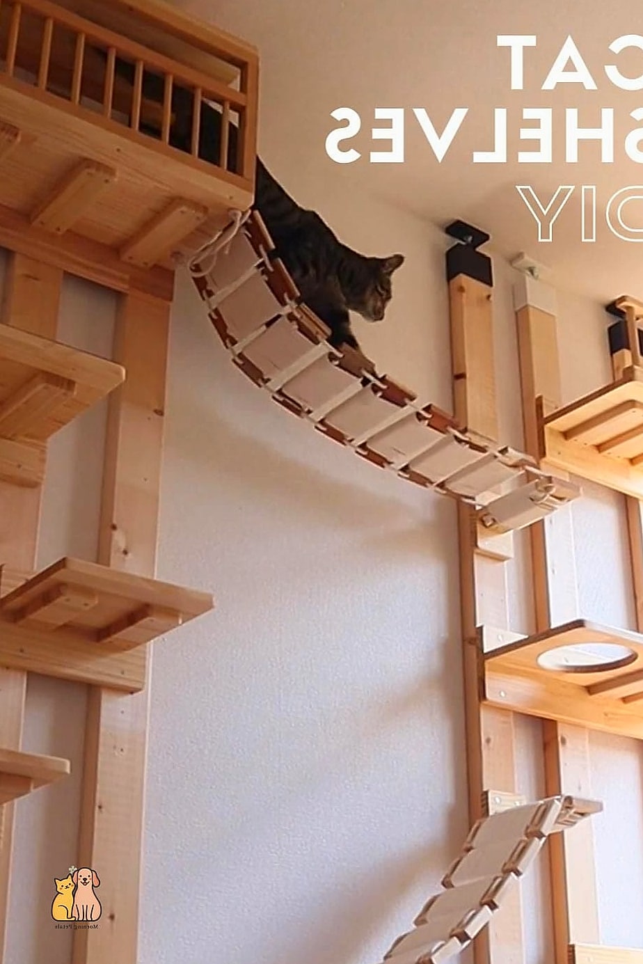 The Ladder Shelf Climbing Wall