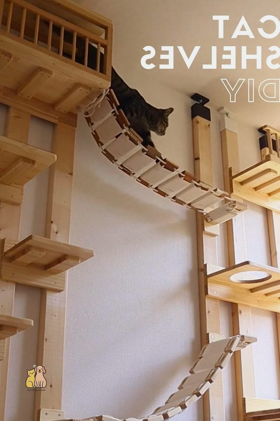 The Ladder Shelf Climbing Tower