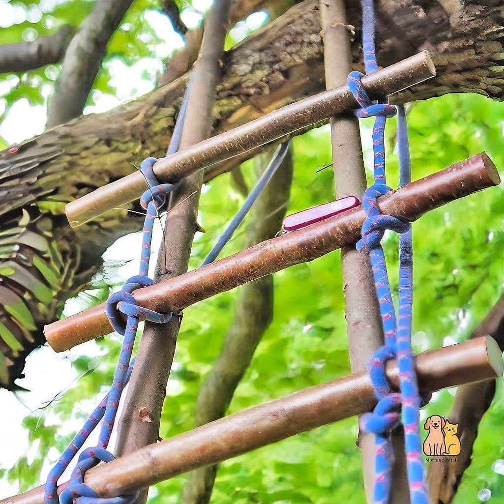 Ladder-Style Rope Bridge