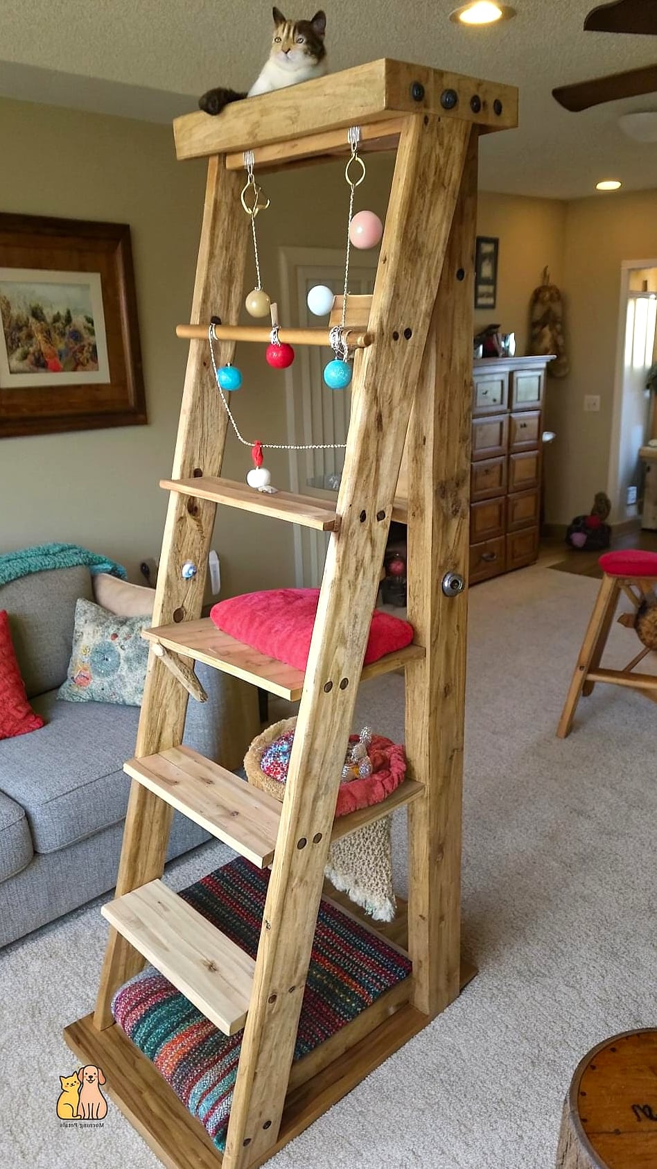 The Ladder-Style Climbing Tower