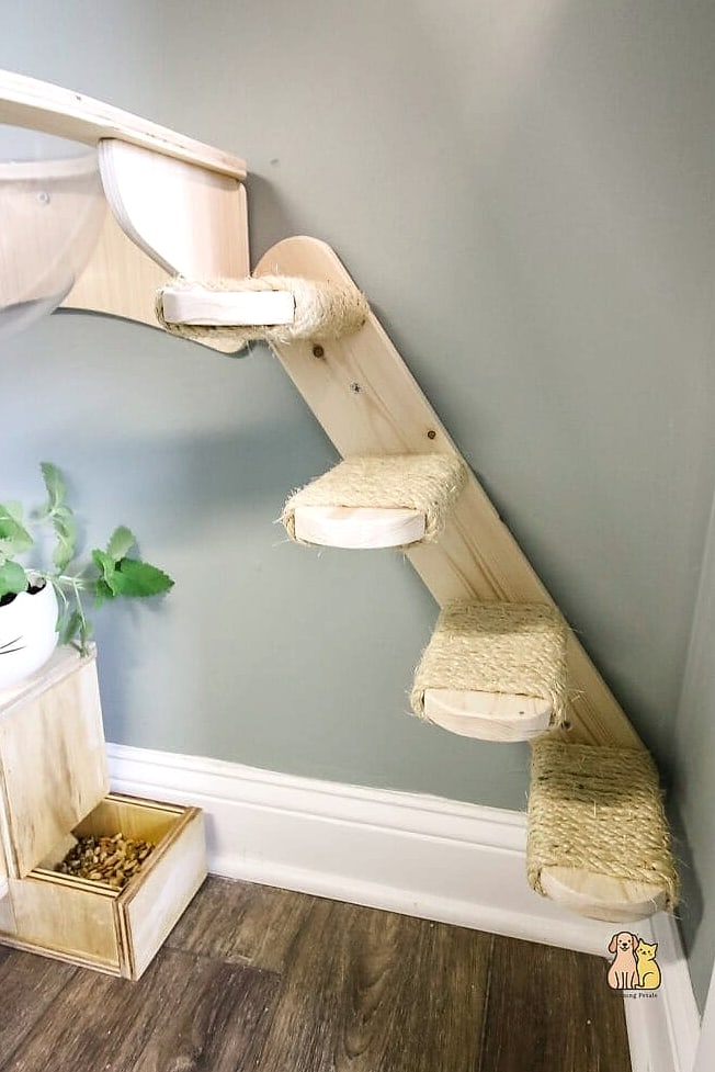 The Ladder-Style Wall Climb