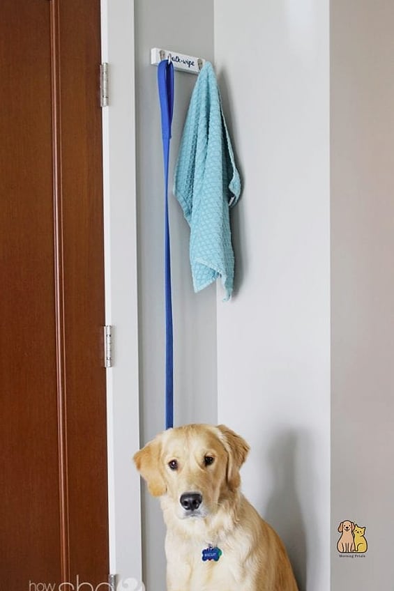 The Leash and Towel Station