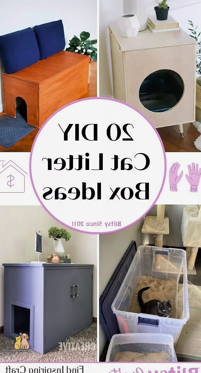 The Litter-Box-Adjacent Step