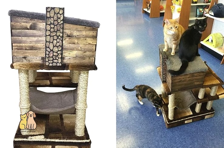The Log Cabin Style Cat House
