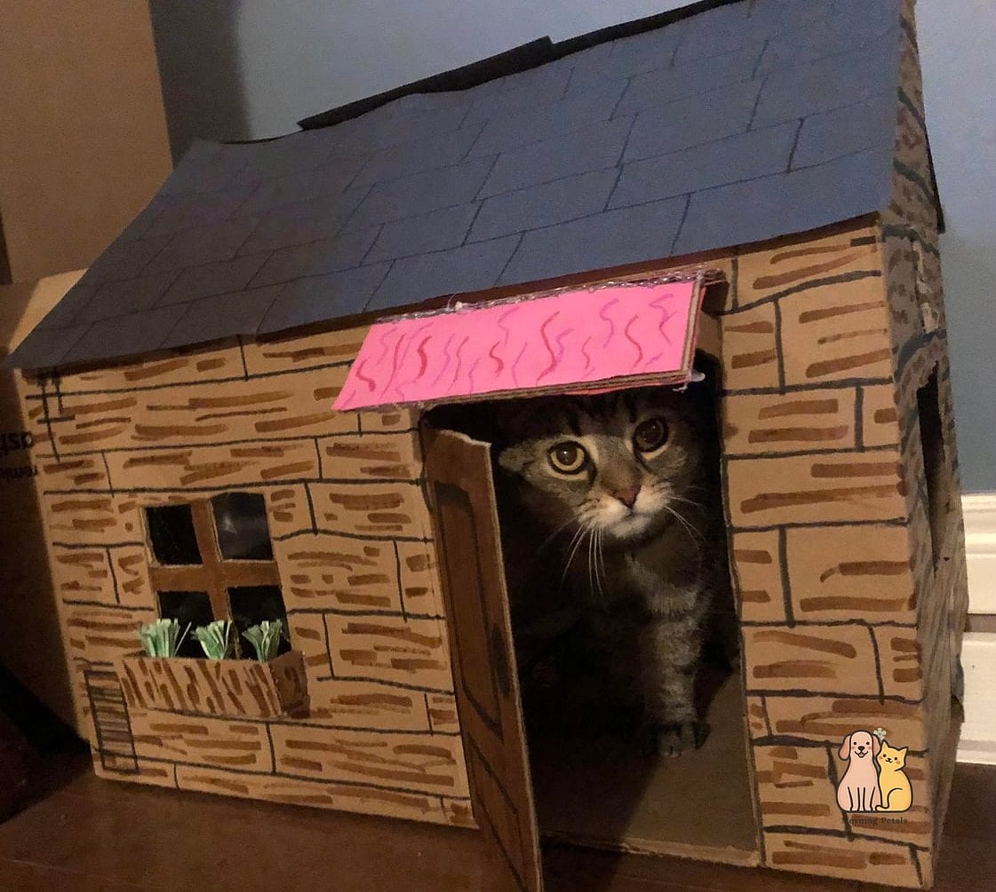 20 Brilliant Diy Cat Cave That Are Totally Worth It 14 Log Cabin Style Cat House