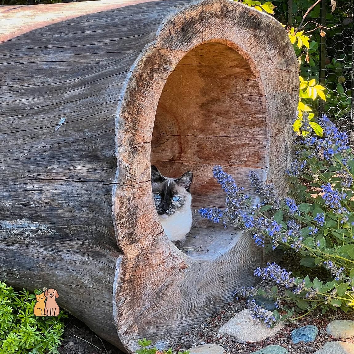 The Log Slice Scratching Post