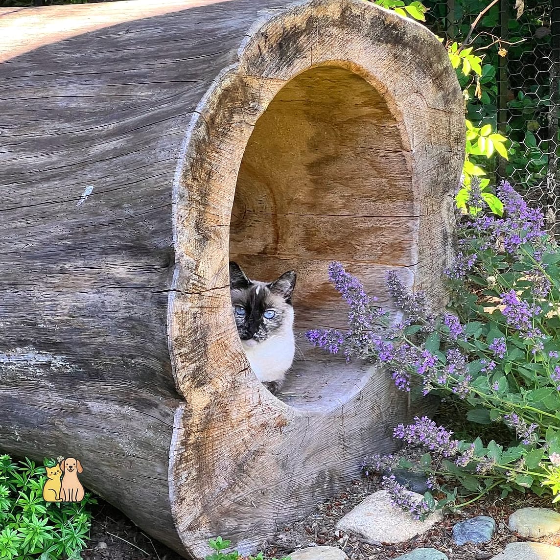 Log Slice Cat Bed
