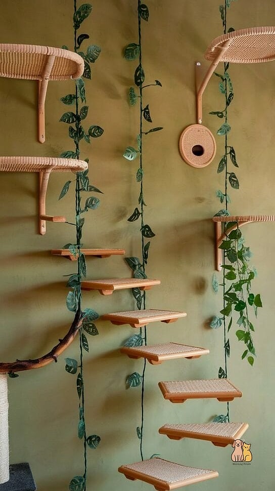 The Log Slice Climbing Wall