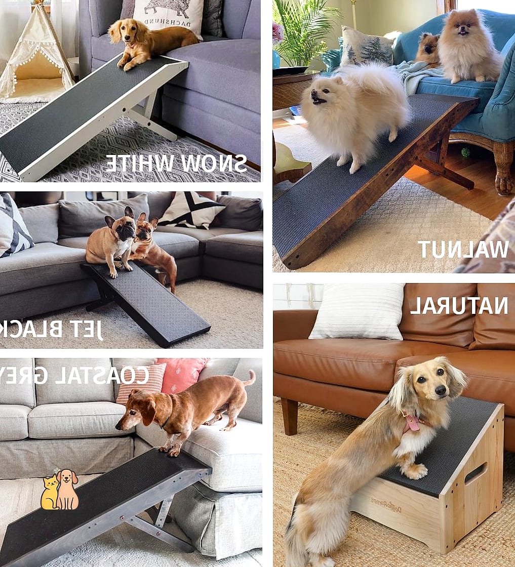 22 Cute Dog Ramps For Boats That Prove Pets Are the Best 22 The Low-Profile Ramp for Senior Dogs