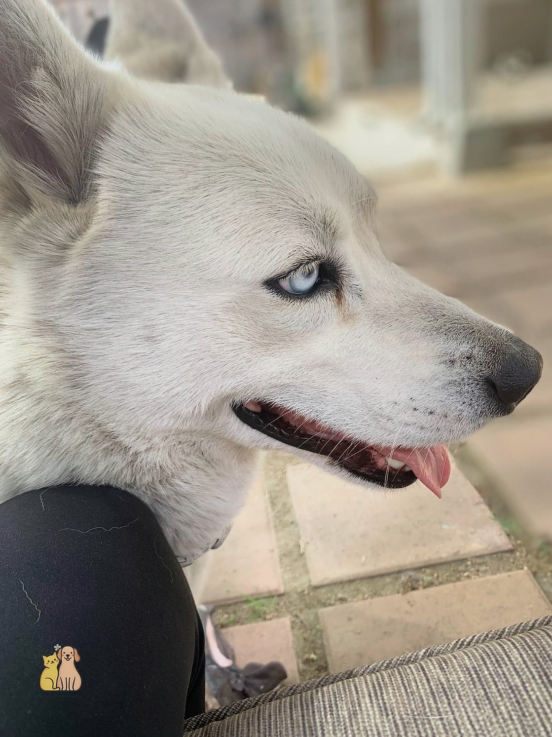 Luna
