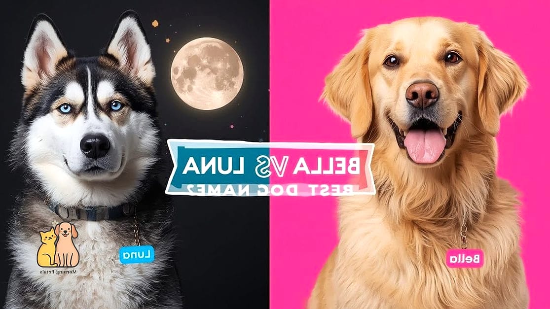 20 Female Dog Names That Are Totally Unique and Adorable 2 Luna Belle