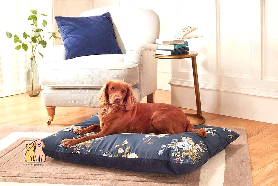 The Luxury Cushion Crate Topper