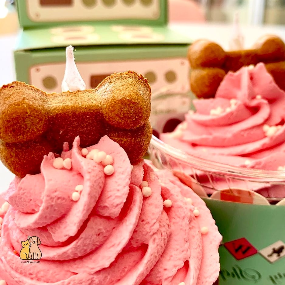 Luxury Dog Spa Cupcakes