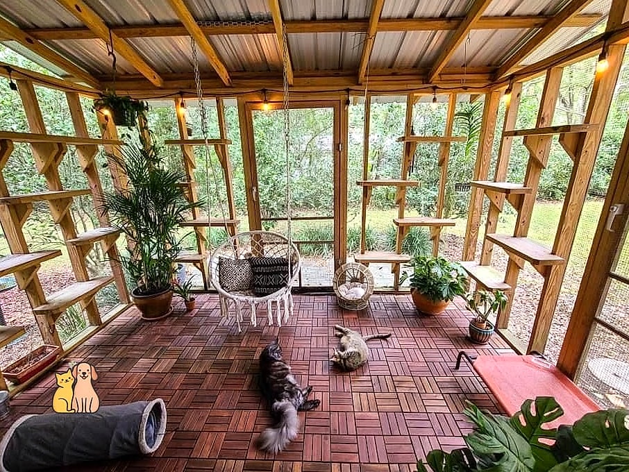 The Luxury Resort-Style Catio