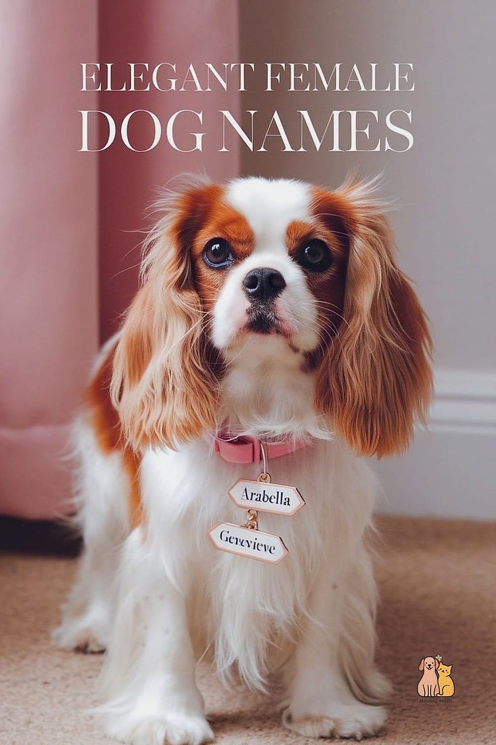 20 Female Dog Names That Are Totally Unique and Adorable 18 Mabel