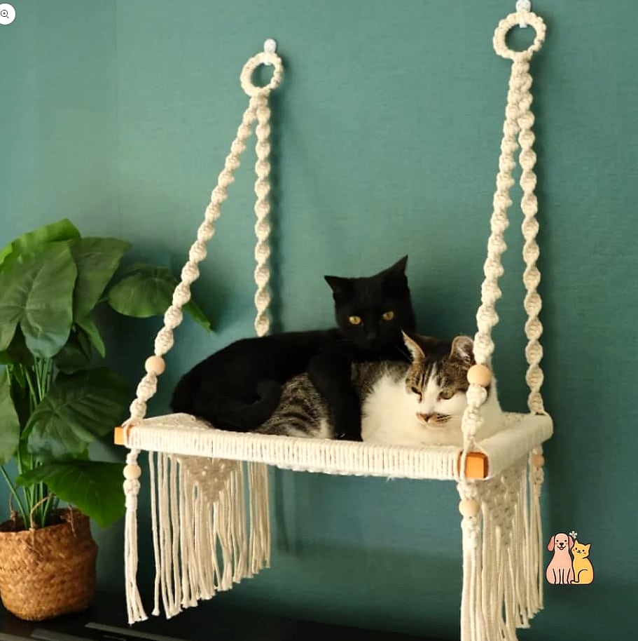 Macrame Hammock
