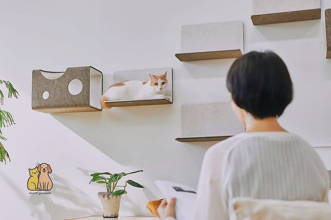 The Magnetic Modular Shelf System