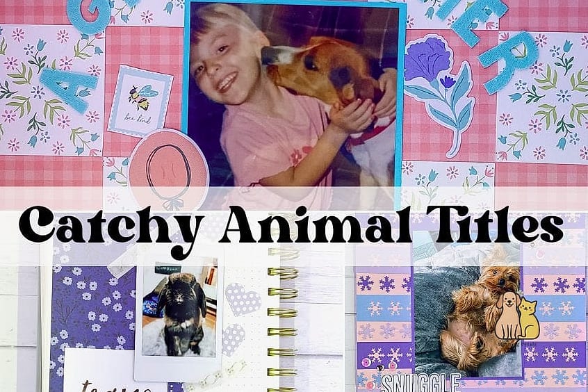 Making Pet Lifestyle Ideas Work for Every Home