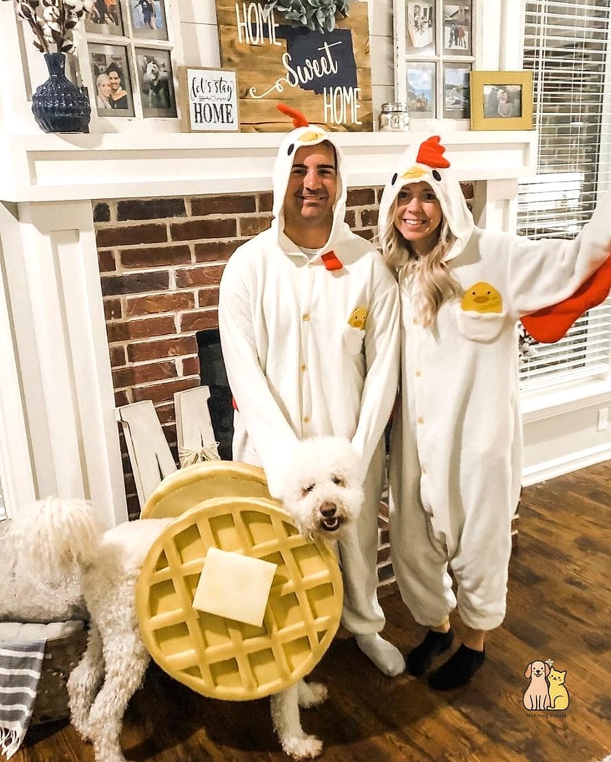 The Matching Owner and Dog Vest Set