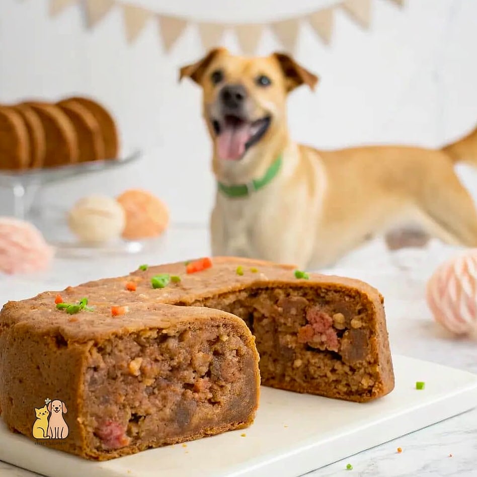 20 Easy Dog Cake Recipes Your Pup Will Go Crazy For 18 Meat Lover’s Dog Cake
