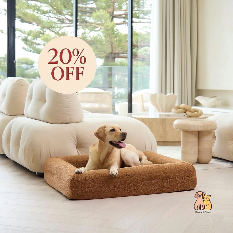 20 Stunning Aesthetic Dog Bed Guaranteed to Make You Smile 9 The Memory Foam Orthopedic Dog Bed