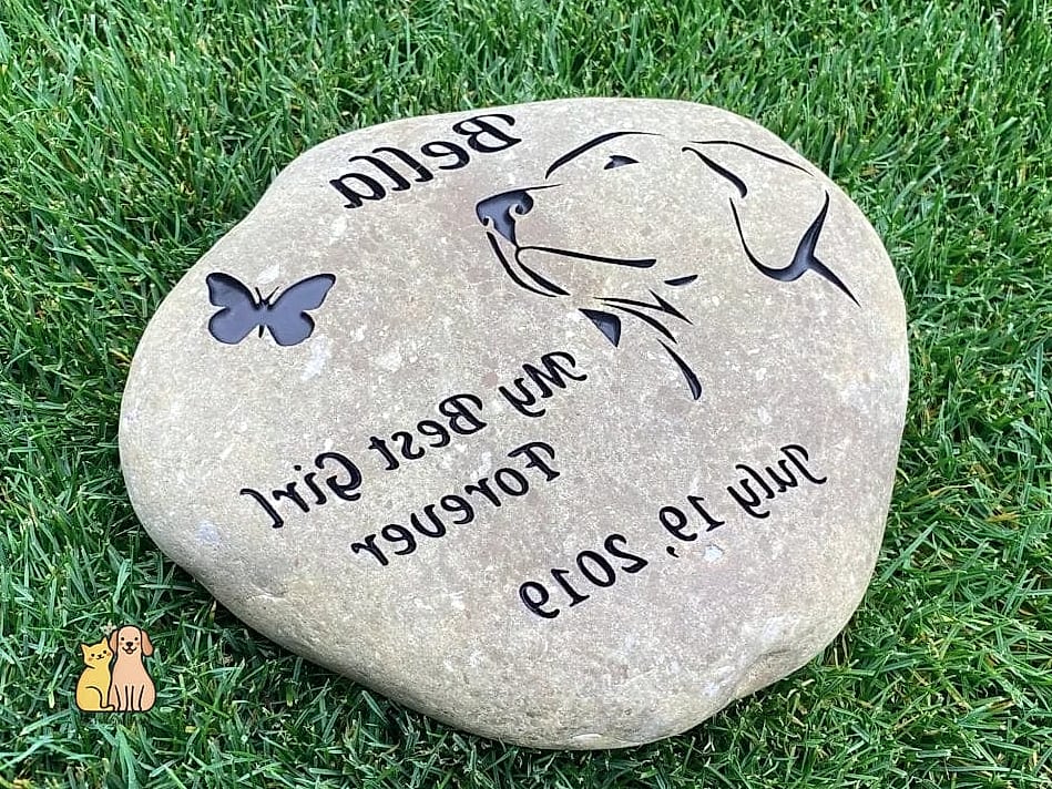 23 Perfect Dog Memorial Ideas Your Pet Will Love 18 Memory Stones for the Whole Family to Paint