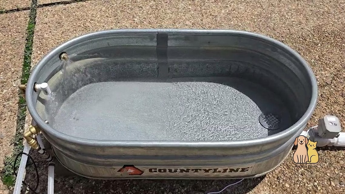 20 Brilliant Homemade Dog Bath Tub on a Budget 18 Metal Trough Dog Washing Station