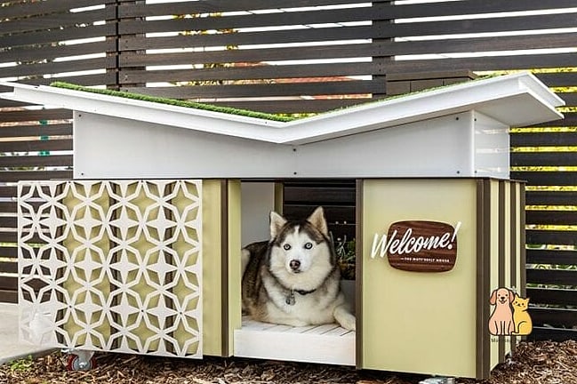 25 Amazing Dog Houses For Large Dogs That Are Too Cute to Handle 19 The Mid-Century Modern Pod