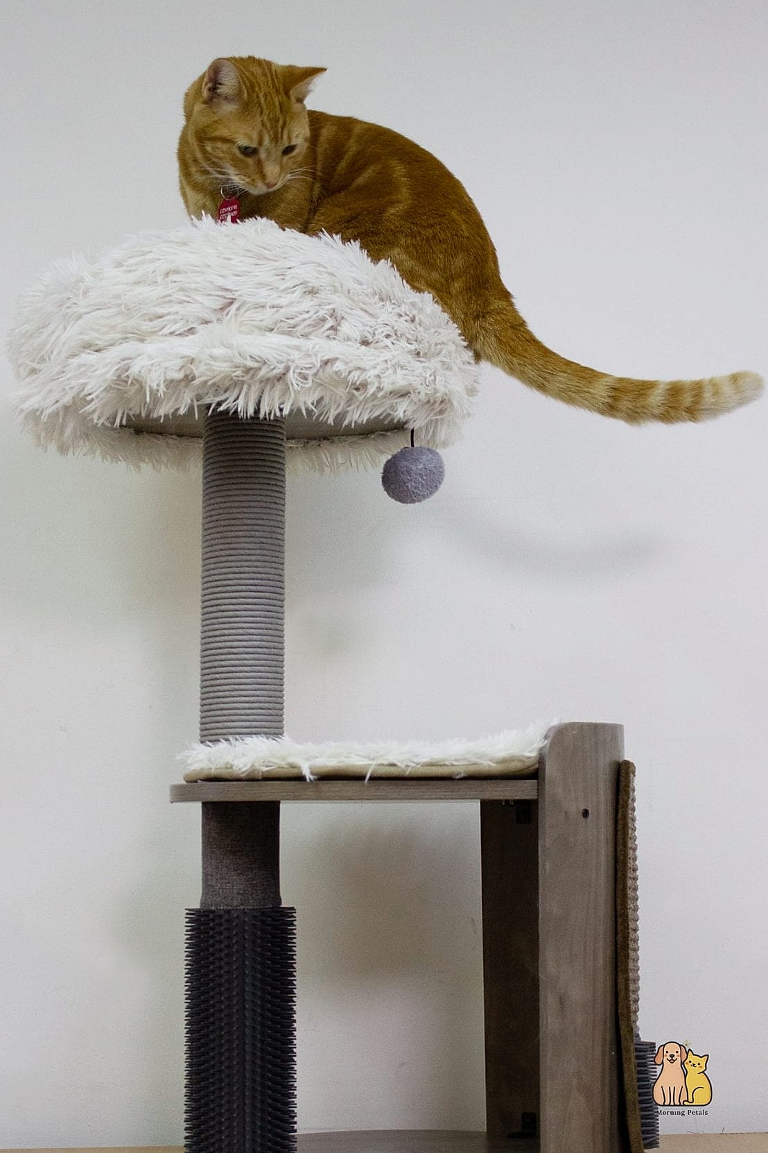 The Mid-Century Scratcher Bench