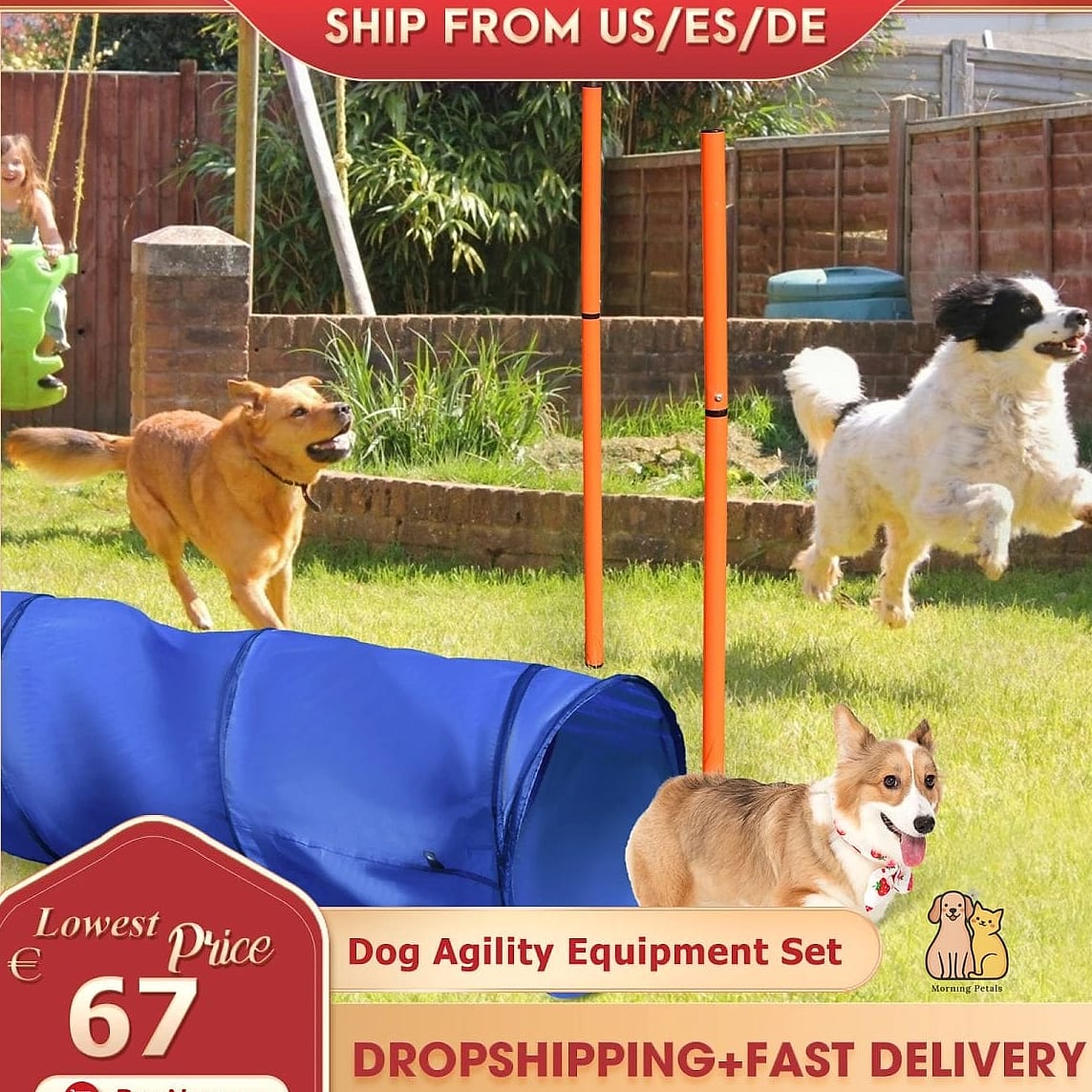 The Mini Agility Corner