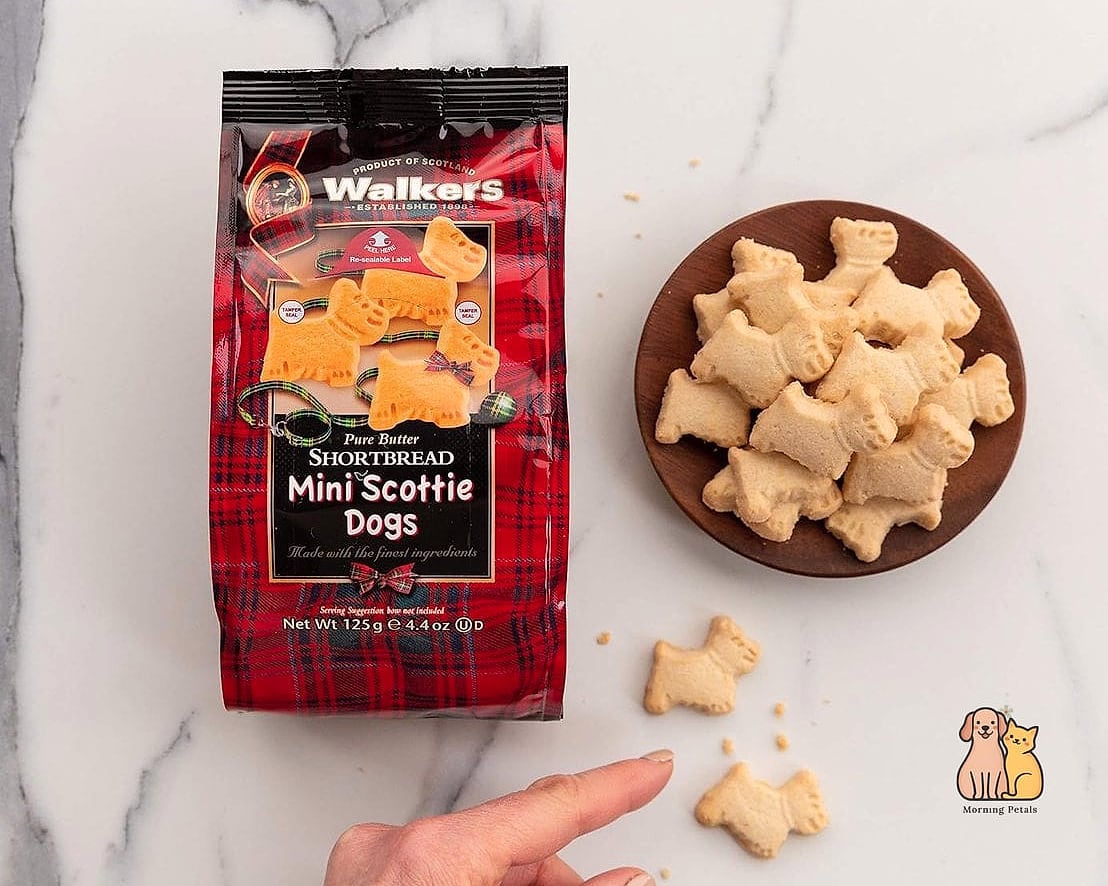 25 Amazing Dog Themed Cookies That Prove Pets Are the Best 16 Mini Dog Cookies